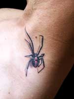 Black widow