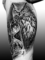 Owl