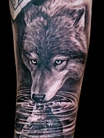 Wolf